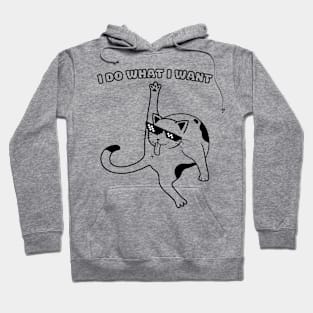 I Do What I Want Funny Cat Licking Butt Hoodie